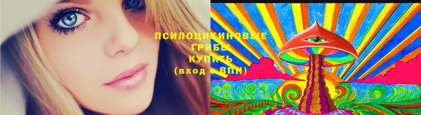 Альфа ПВП Ладушкин