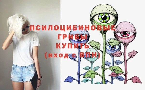 Альфа ПВП Ладушкин